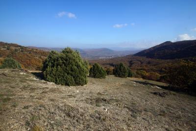 Прикрепленное изображение: A58-2 DSC00882.JPG